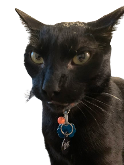 Jinx