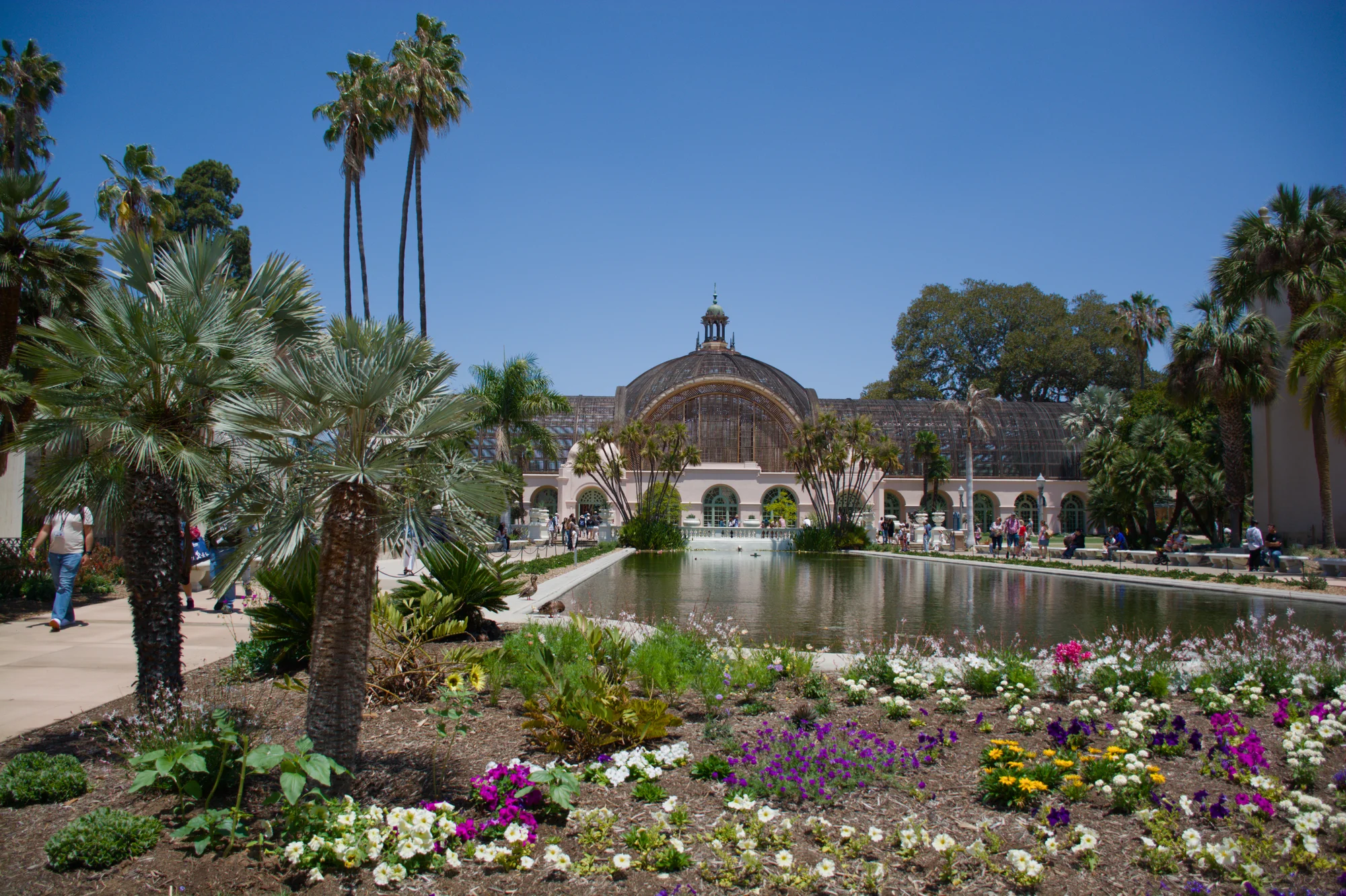 Inside the Botanical Building at Balboa Park