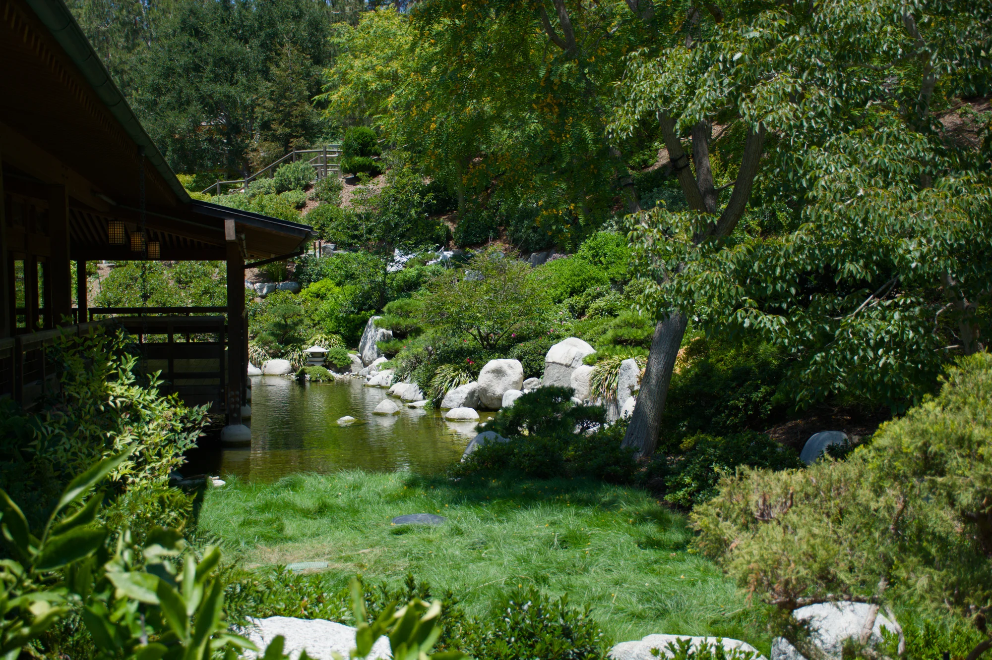 Japanese Friendship Garden