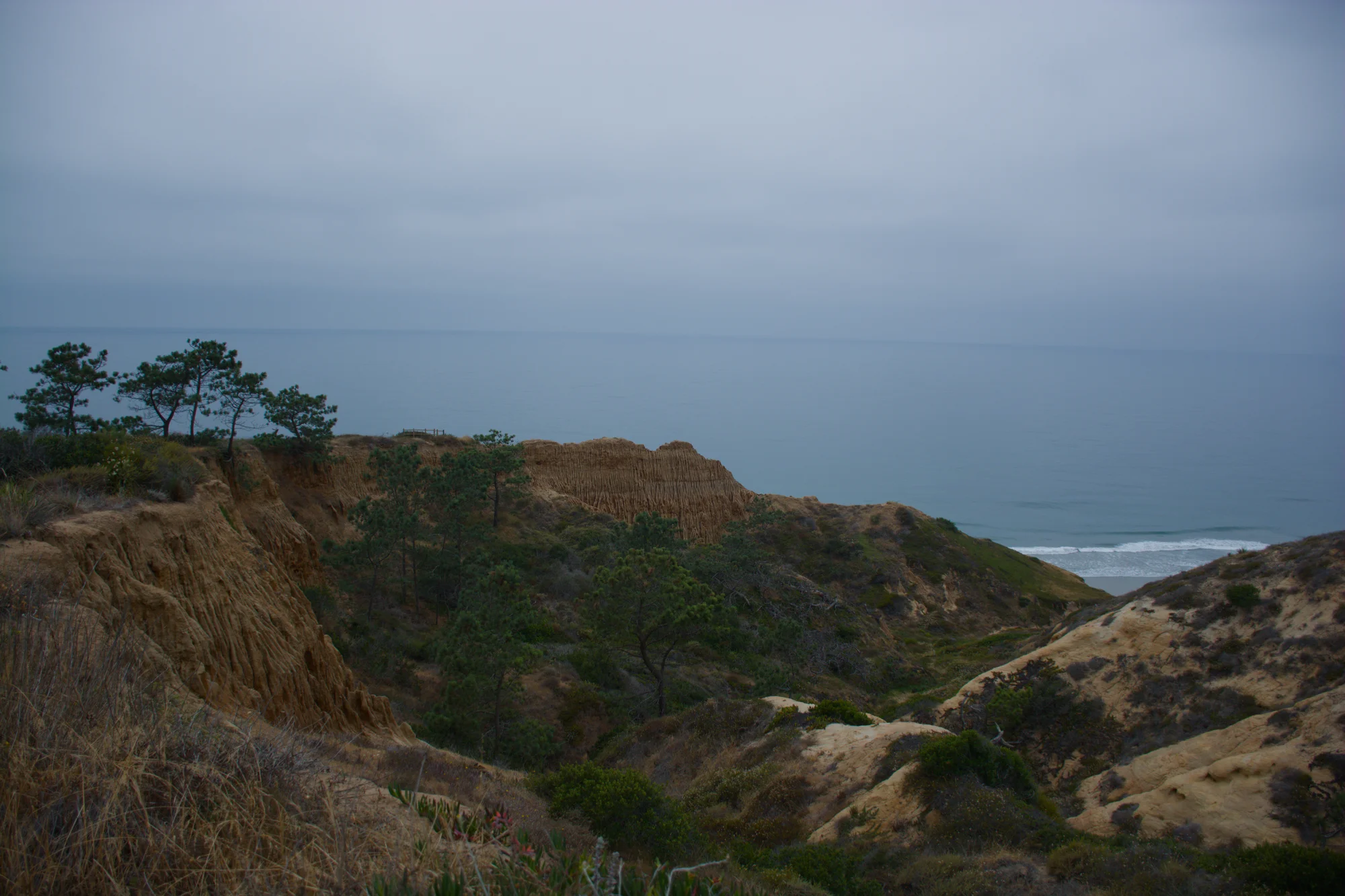 Razor Point trail at Torrey Pines