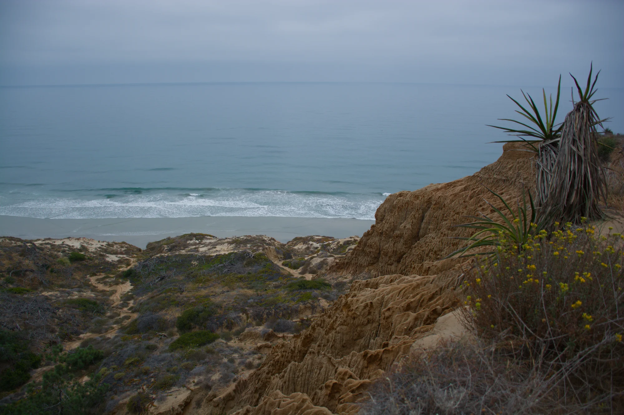 Torrey Pines coastline
