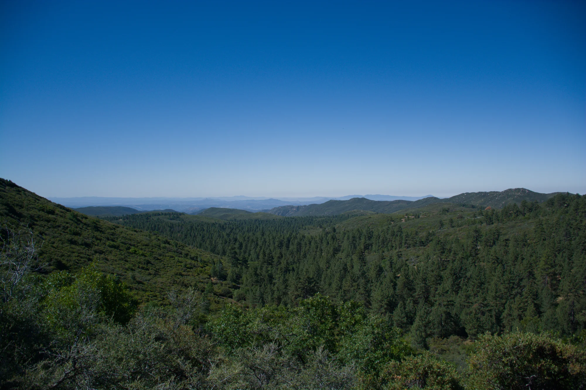 Cleveland National Forest