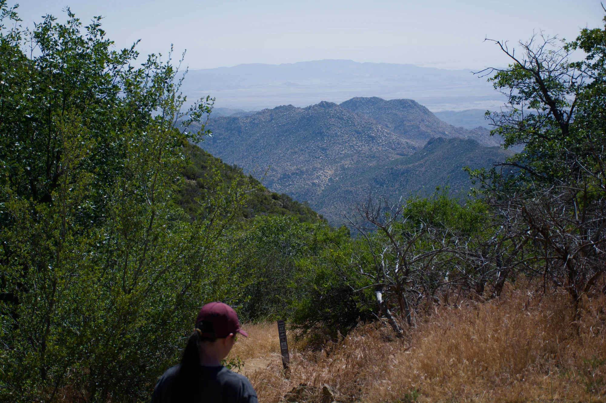 Desert View overlook on Sunrise Highway