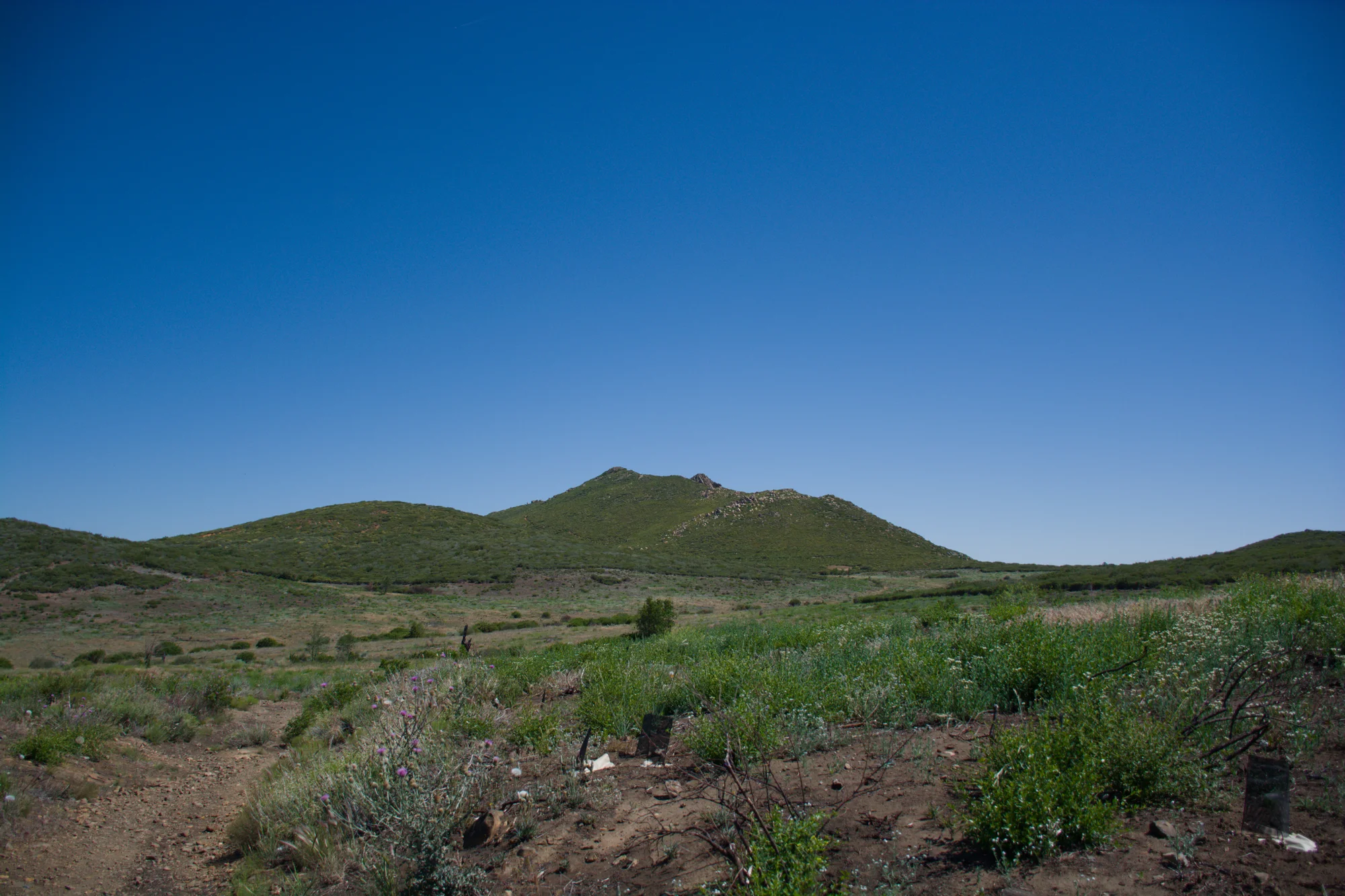 Start of the Garnet Peak trail
